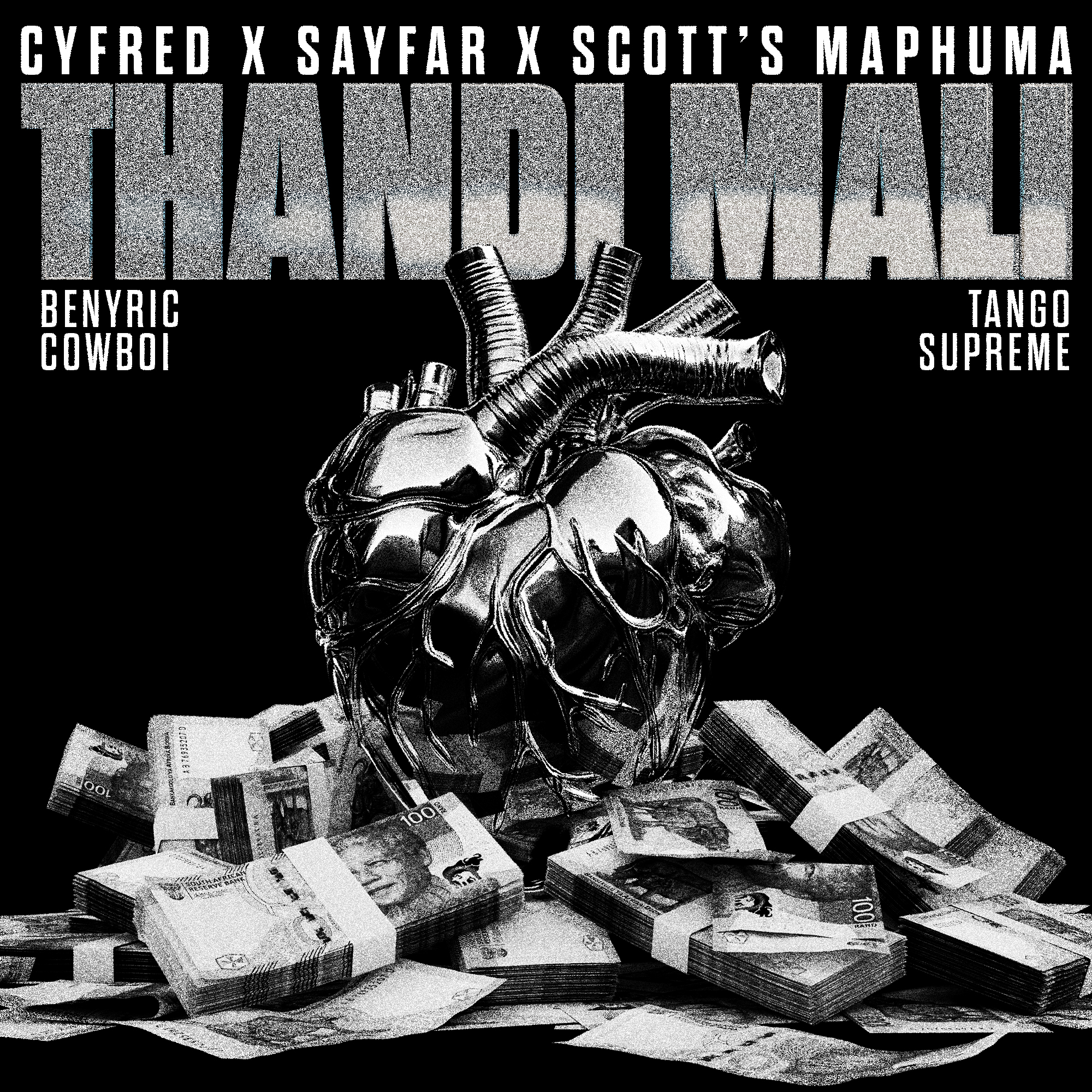 Thandi Mali (feat. BenyRic, Cowboii & Tango Supreme) - Single