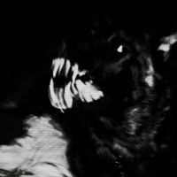 K9 (feat. Oh3000) - Single - ocho