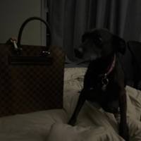 druhgs - Single - mbmxke