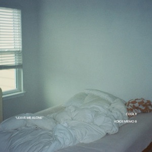 Leave Me Alone - Single