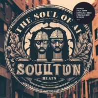 THE SOUL OF AI - Soulution