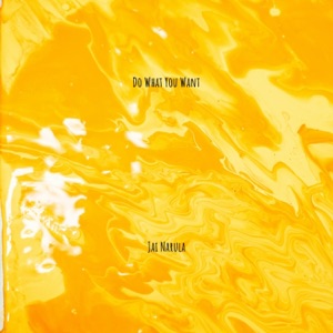 Do What You Want - Single