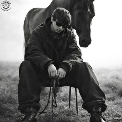 CABALLO NEGRO