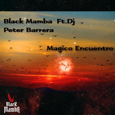 Mágico Encuentro (feat. DJ Peter Barrera) - Single