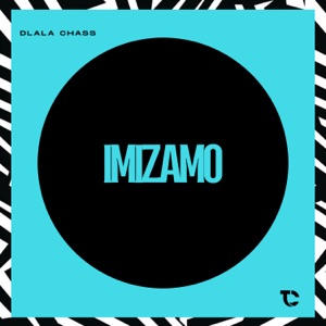 Imizamo
