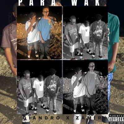 Para Wak (feat. Zamir) - Single