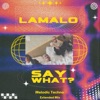 Say What (Extended Mix) cover art