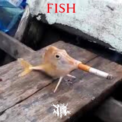 Fish - Single