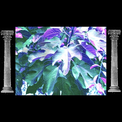 Eden Leaves (feat. Skull) - Single
