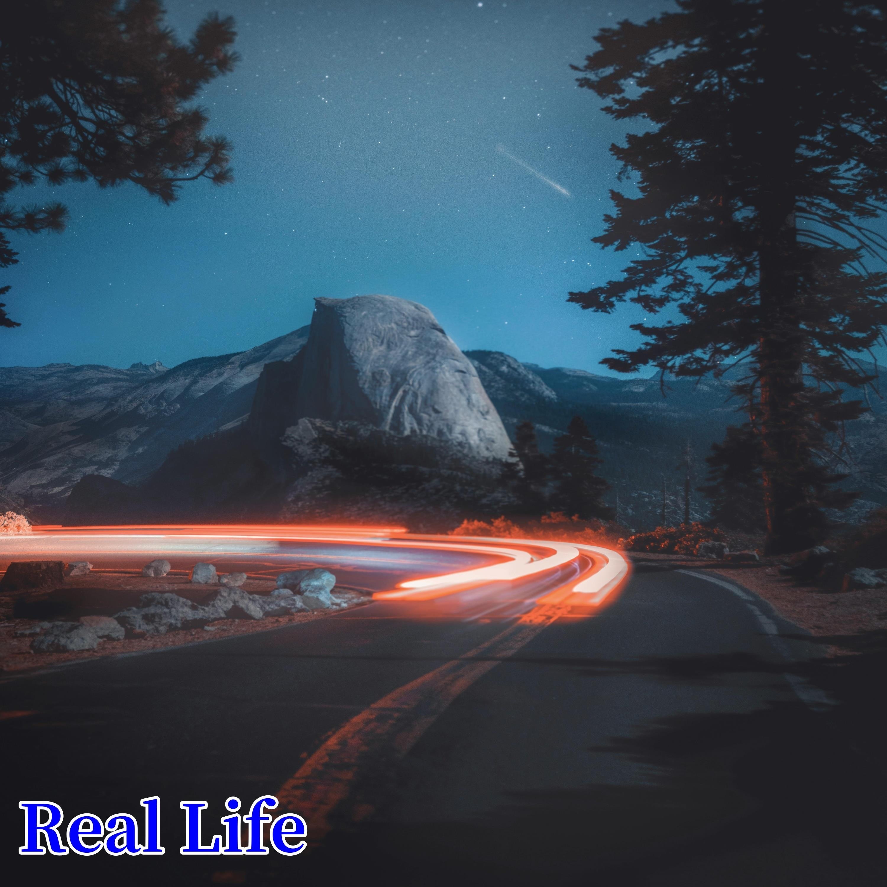 Real Life - Single