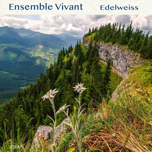 Album artwork