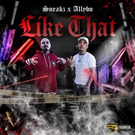 Like That (feat. Allybo) Sneakz