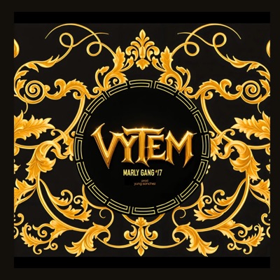 Vytem (feat. Simpl6e9) - Single