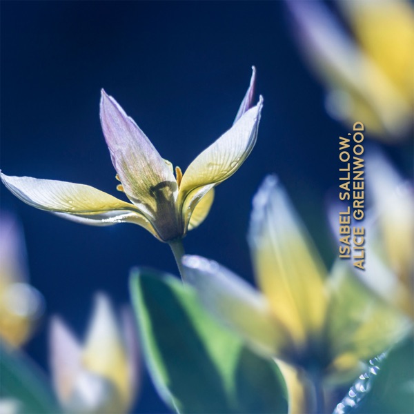Celestial Flora