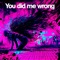 You did me wrong (feat. Per Thornberg) - Dr. Wackenbusch lyrics