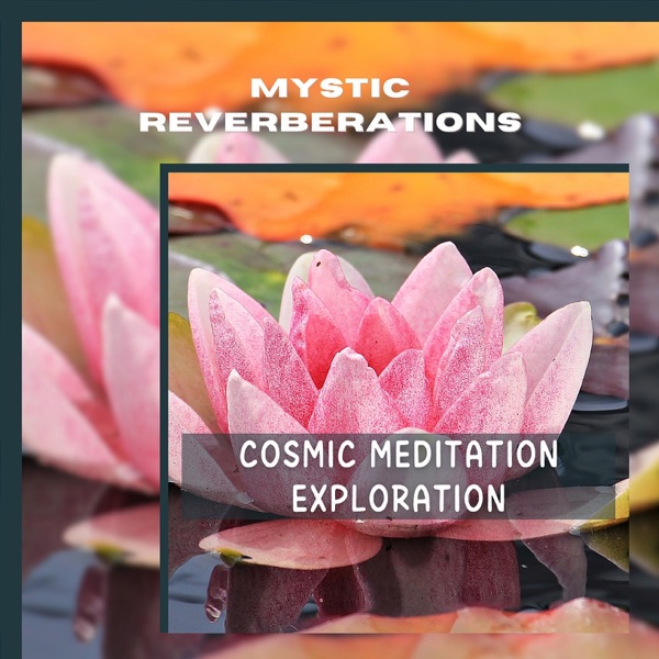 Cosmic Meditation Exploration