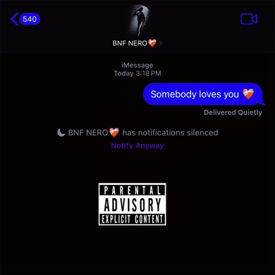 Somebody Loves You (feat. BNF Nero) - Single