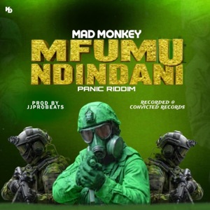 Mfumu Ndindani (feat. Mad Monkey) - Single
