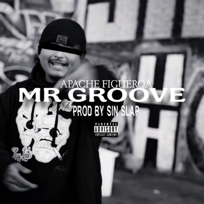 Mr Groove - Single
