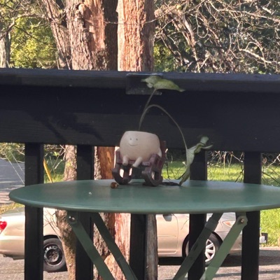 SMILE! (feat. wuvesi) - Single