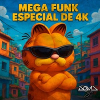 MEGA FUNK ESPECIAL DE 4K - Single - DJ David SC