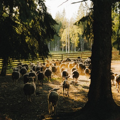 Greatest Love - Single