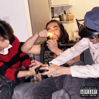 you wouldnt get it - Single