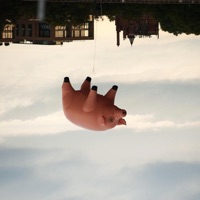 pigs - Single - 509 BMG