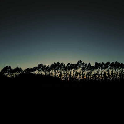 Insomnia Pt. 2 - Single