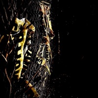 SUICIDAL TENDENCY (feat. RXTRO) - Single - 8radlee