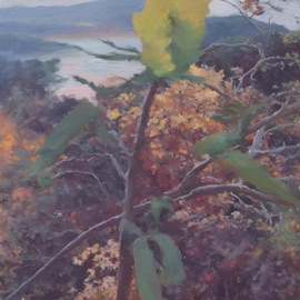 so in luv w/ u noceur