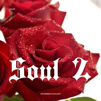 SOUL 2 - Single