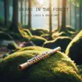 Dreams in the forest