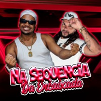 Na Sequencia da Encaixada - Single - MC Pipo