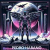 Born to Fly High cover art