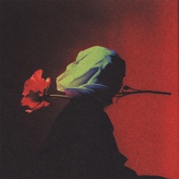 PICO TRES - Single - Lil Willy 666