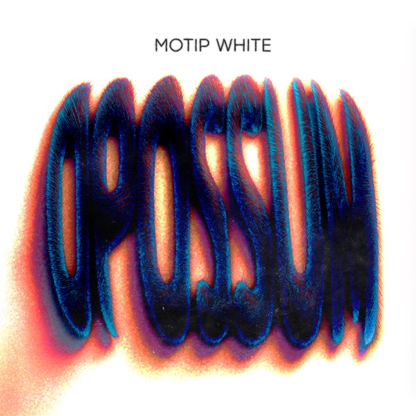 Opossum EP - Single