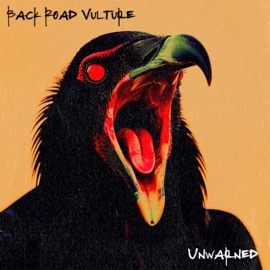 Unwarned Back Road Vulture