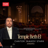 Aneinu - עננו - Single - Yaakov Stark