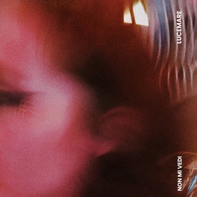 Non Mi Vedi - Single