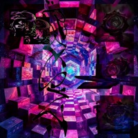 ON A ROLL (FA NUN) - Single - ROSE FROM THE ASH