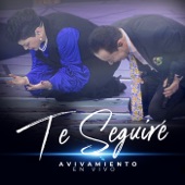 Te Seguiré (En Vivo) artwork