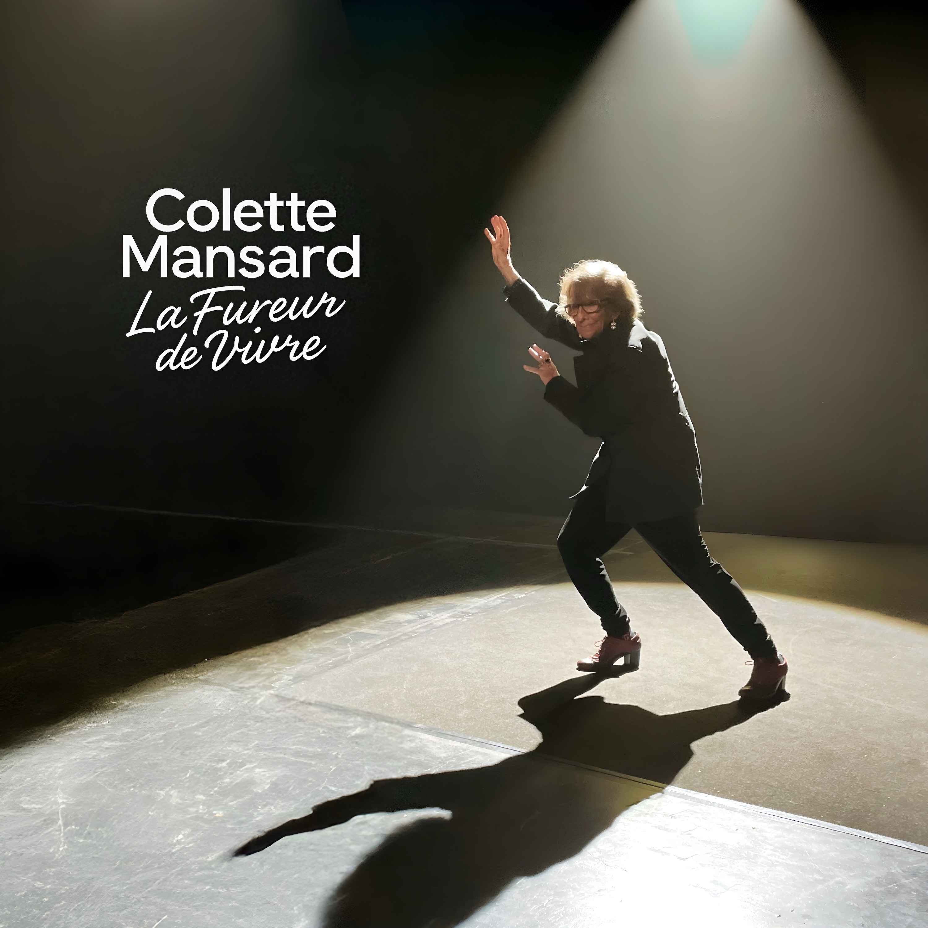 La fureur de vivre - Single