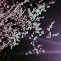 deserve it (slowed & speed up) - Single - alishmeo
