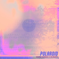 polaroid - Single - Damn Homies & okinami