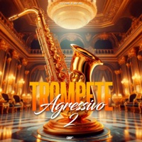 Trompete Agressivo 2 - É Rajadao - Single - DJ DZS & MC RD