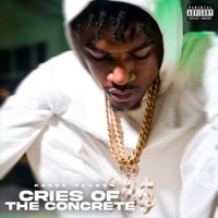 Cries of the Concrete - Single - Reese Youngn