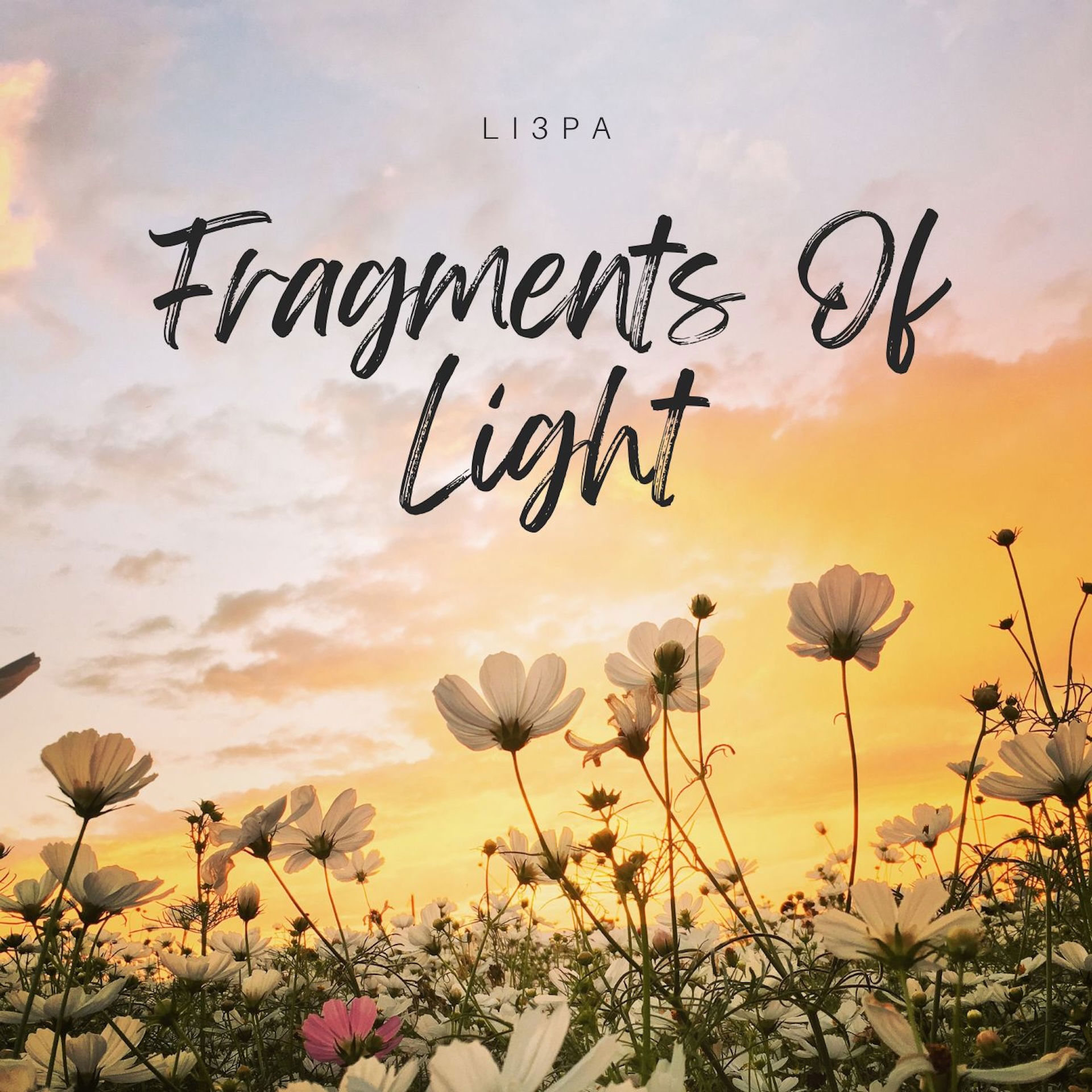 Fragments of Light