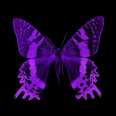 Mariposas (feat. JeyJey Ortega) - Single