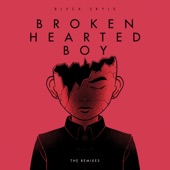 Broken Hearted Boy (David Ruela Remix) artwork